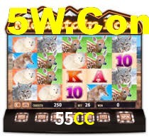 55CC App Interface