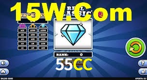 Programa VIP 55CC